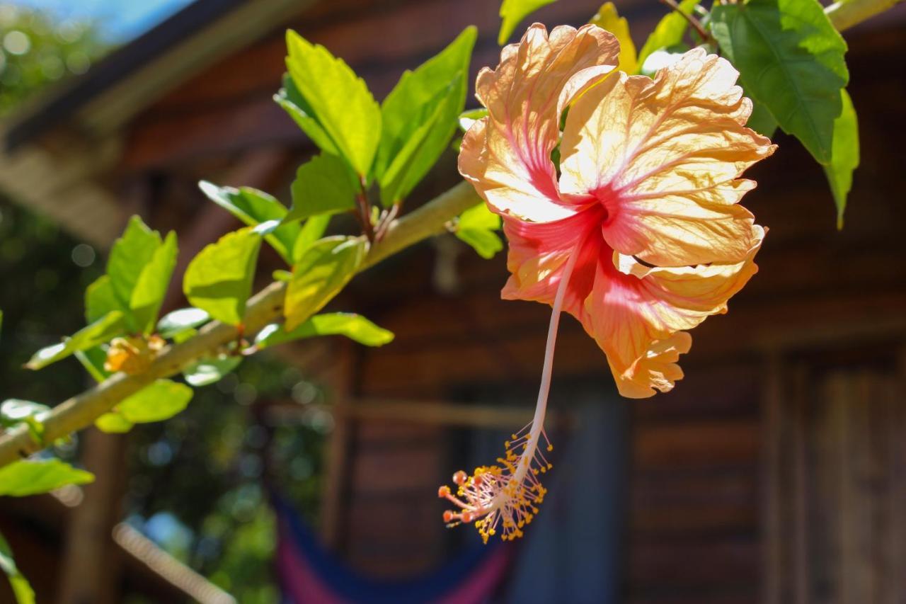 The Lighthouse Retreat, Little Corn Island, Nicaragua Hotel Buitenkant foto
