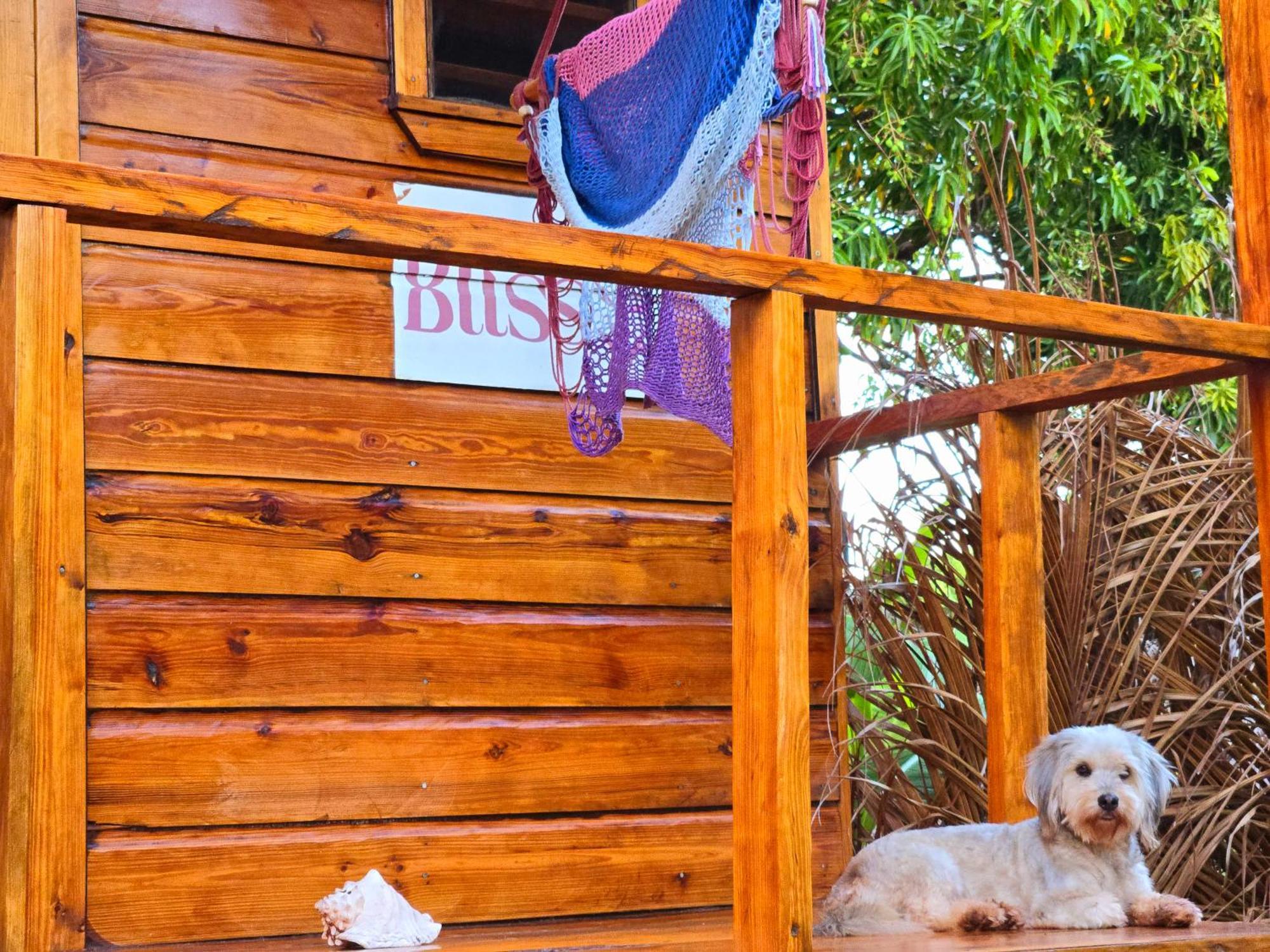The Lighthouse Retreat, Little Corn Island, Nicaragua Hotel Buitenkant foto