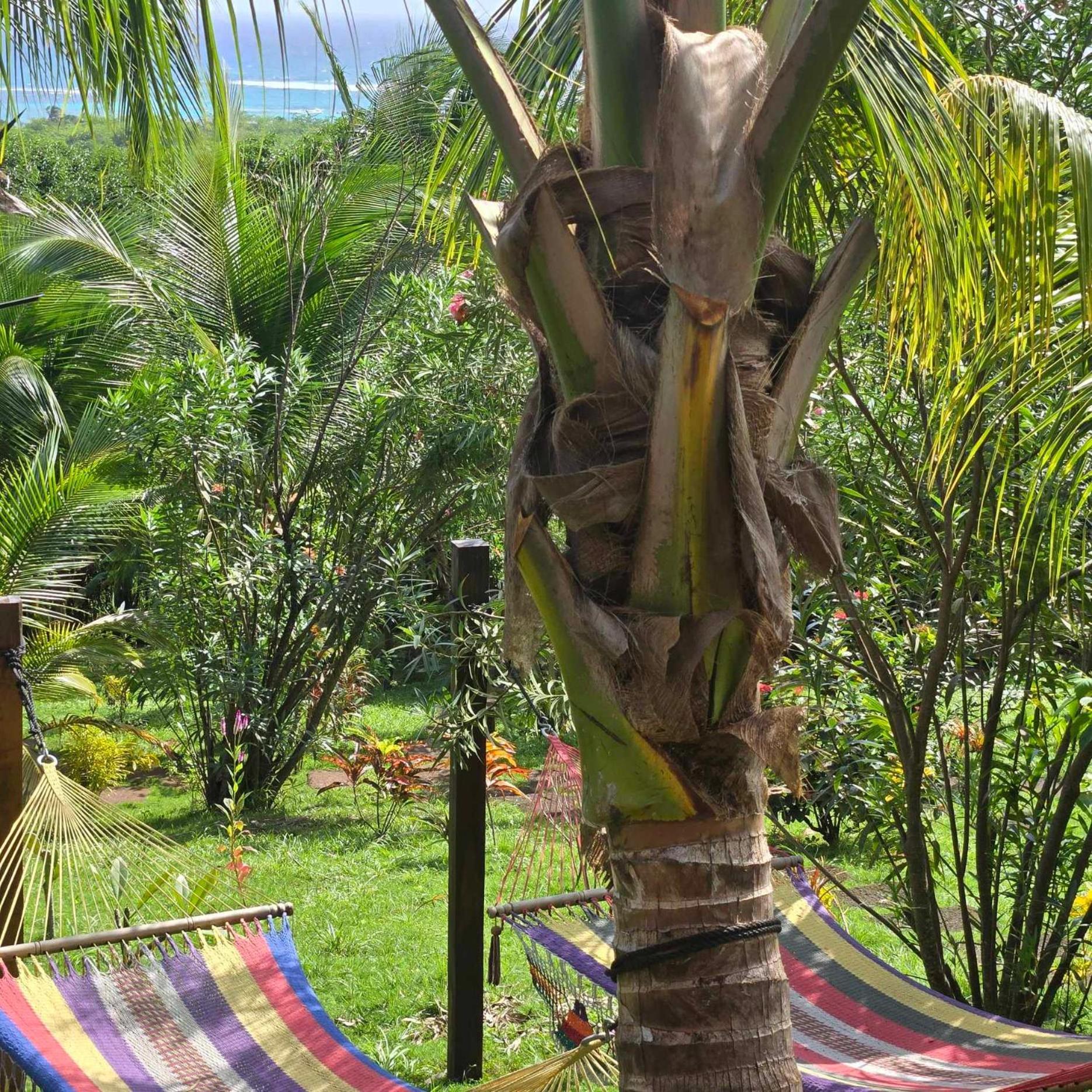 The Lighthouse Retreat, Little Corn Island, Nicaragua Hotel Buitenkant foto